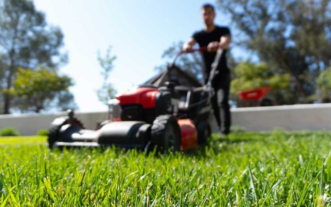 Dune by Frank Herbert: