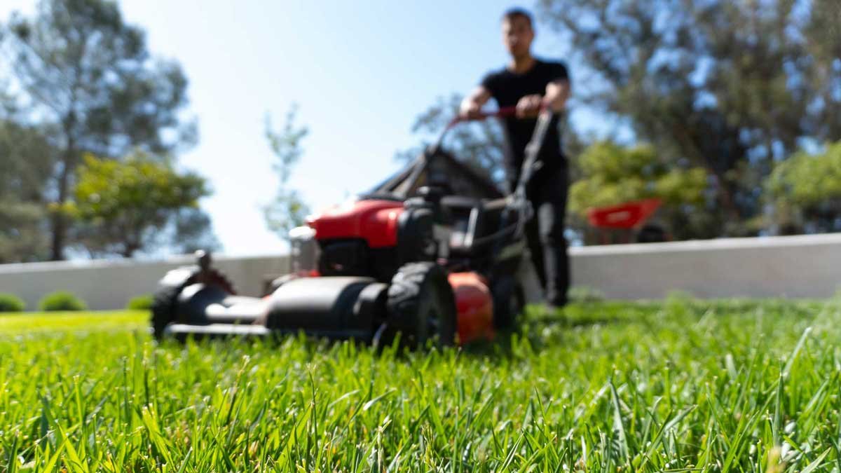 Dune by Frank Herbert: