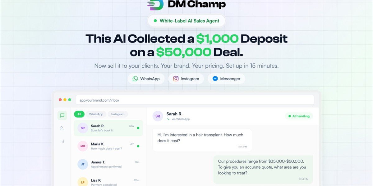DM Champ AppSumo screenshot 1