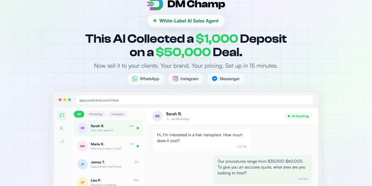 DM Champ AppSumo screenshot 2